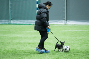 <a href="https://st.getinfootball.com/albums/1100173/69a1dccd5aa98_1920.jpg" target="_blank">Завантажити оригінал</a>