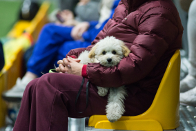 <a href="https://st.getinfootball.com/albums/1100740/69c5c48cbf4d8_1920.jpg" target="_blank">Завантажити оригінал</a>