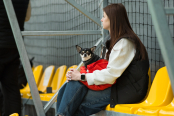 <a href="https://st.getinfootball.com/albums/1101218/69f0fdc4a02d8_1920.jpg" target="_blank">Завантажити оригінал</a>
