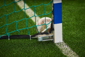 <a href="https://st.getinfootball.com/albums/1101466/69ff6aeba8ac1_1920.jpg" target="_blank">Завантажити оригінал</a>