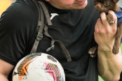 <a href="https://st.getinfootball.com/albums/1101653/6a0a3b555474e_1920.jpg" target="_blank">Завантажити оригінал</a>