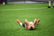 <a href="https://st.getinfootball.com/albums/1101916/6a1c2ae090d54_1920.jpg" target="_blank">Завантажити оригінал</a>