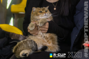 <a href="https://st.getinfootball.com/albums/1101978/6a1dee1580f54_1920.jpg" target="_blank">Завантажити оригінал</a>