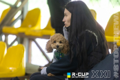 <a href="https://st.getinfootball.com/albums/1102023/6a1f9e7308c6c_1920.jpg" target="_blank">Завантажити оригінал</a>