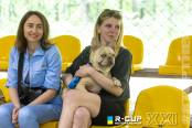 <a href="https://st.getinfootball.com/albums/1102116/6a26d01b4acbf_1920.jpg" target="_blank">Завантажити оригінал</a>