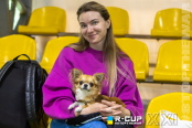 <a href="https://st.getinfootball.com/albums/1102116/6a26d01c1c126_1920.jpg" target="_blank">Завантажити оригінал</a>