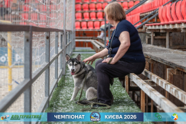 <a href="https://st.getinfootball.com/albums/1102118/6a26f2efe8f9f_1920.jpg" target="_blank">Завантажити оригінал</a>