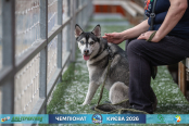 <a href="https://st.getinfootball.com/albums/1102118/6a26f2f1e7d4b_1920.jpg" target="_blank">Завантажити оригінал</a>