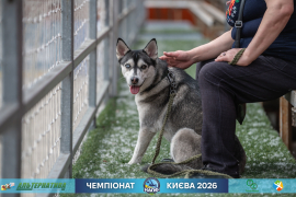 <a href="https://st.getinfootball.com/albums/1102118/6a26f2f1e7d4b_1920.jpg" target="_blank">Завантажити оригінал</a>