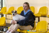 <a href="https://st.getinfootball.com/albums/1102141/6a27c3fd3c234_1920.jpg" target="_blank">Завантажити оригінал</a>