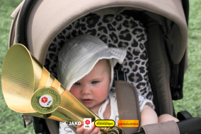 <a href="https://st.getinfootball.com/albums/1102219/6a2a279769535_1920.jpg" target="_blank">Завантажити оригінал</a>