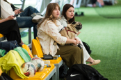 <a href="https://st.getinfootball.com/albums/1102323/6a382b92f28d0_1920.jpg" target="_blank">Завантажити оригінал</a>