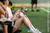 <a href="https://st.getinfootball.com/albums/1102379/6a3adc6eb950f_1920.jpg" target="_blank">Завантажити оригінал</a>