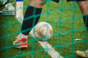 <a href="https://st.getinfootball.com/albums/1102486/6a4520910ad8f_1920.jpg" target="_blank">Завантажити оригінал</a>
