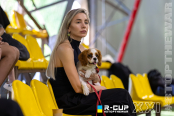 <a href="https://st.getinfootball.com/albums/1102838/6a5e7e595da8b_1920.jpg" target="_blank">Завантажити оригінал</a>