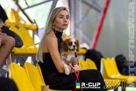 <a href="https://st.getinfootball.com/albums/1102838/6a5e7e595da8b_1920.jpg" target="_blank">Завантажити оригінал</a>