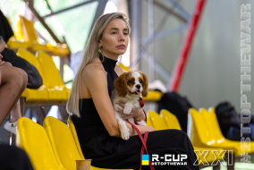 <a href="https://st.getinfootball.com/albums/1102838/6a5e7e595da8b_1920.jpg" target="_blank">Завантажити оригінал</a>
