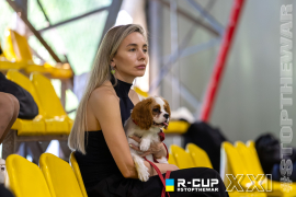 <a href="https://st.getinfootball.com/albums/1102838/6a5e7e5c3e6e6_1920.jpg" target="_blank">Завантажити оригінал</a>
