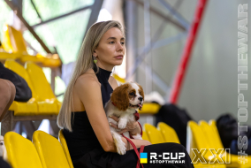 <a href="https://st.getinfootball.com/albums/1102838/6a5e7e5c3e6e6_1920.jpg" target="_blank">Завантажити оригінал</a>