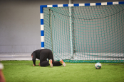 <a href="https://st.getinfootball.com/albums/1102868/6a5fe985a2093_1920.jpg" target="_blank">Завантажити оригінал</a>