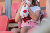 <a href="https://st.getinfootball.com/albums/1102957/6a67673f24d70_1920.jpg" target="_blank">Завантажити оригінал</a>