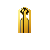 Irpin Cup