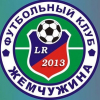 Лого команды