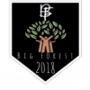 Big Forest |М.-Рубежівка|