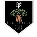 BigForest