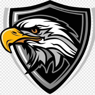 MFC Falcon