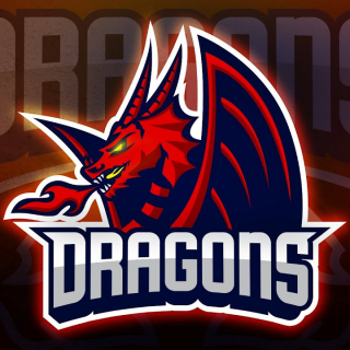 FC Dragons
