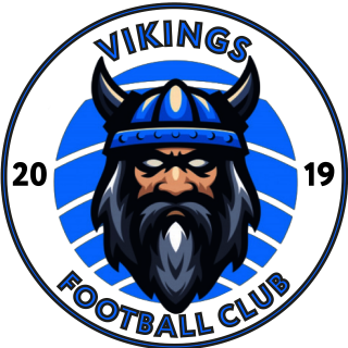 Vikings-2