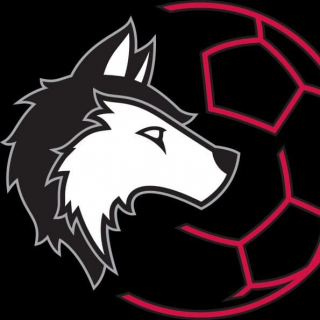Kyiv Wolves