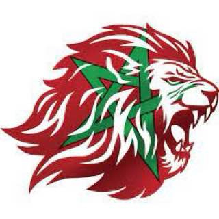 Atlas Lions