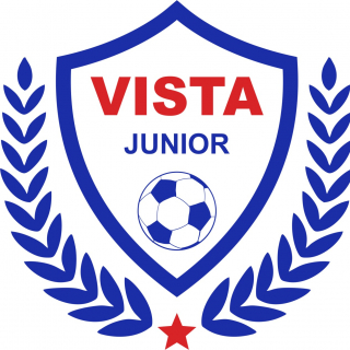 FC VISTA 10-11г