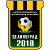 FC ЦЕЛИНОГРАД 06-07гг