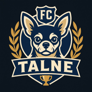 Fc Talne