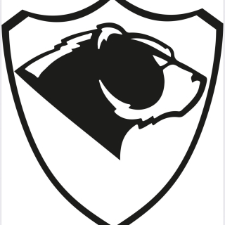 Boiko Bears 