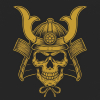 FC Samurai