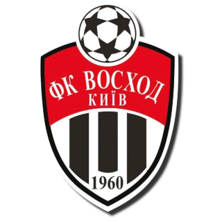 ФК Восход Бортничі 