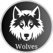 FC Wolves Київ 2017