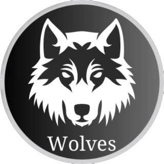FC Wolves Київ 