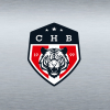 СНВ 2 