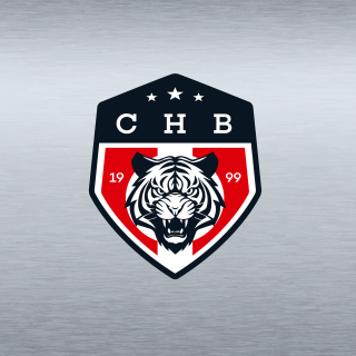 СНВ 2 