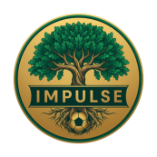 IMPULSE BUCHA