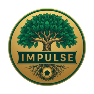 IMPULSE BUCHA