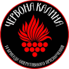 Лого команды