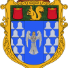 Лого команды