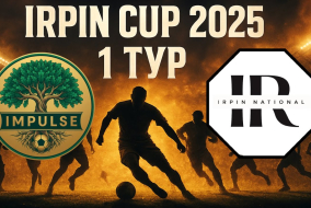 IMPULSE BUCHA  2 : 3 IRPIN NATIONAL